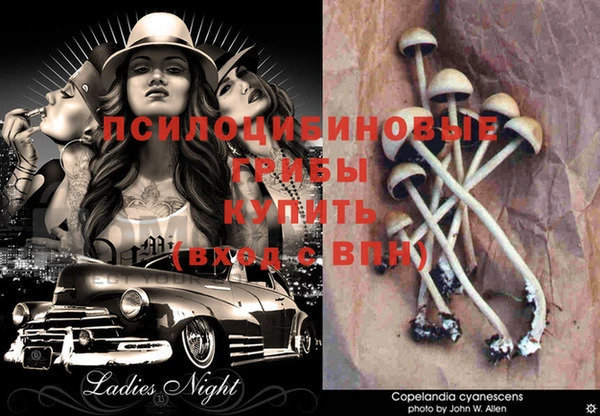 героин Осинники