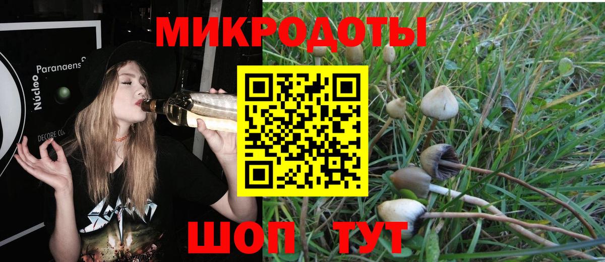 Псилоцибиновые грибы Psilocybine cubensis  Сатка 