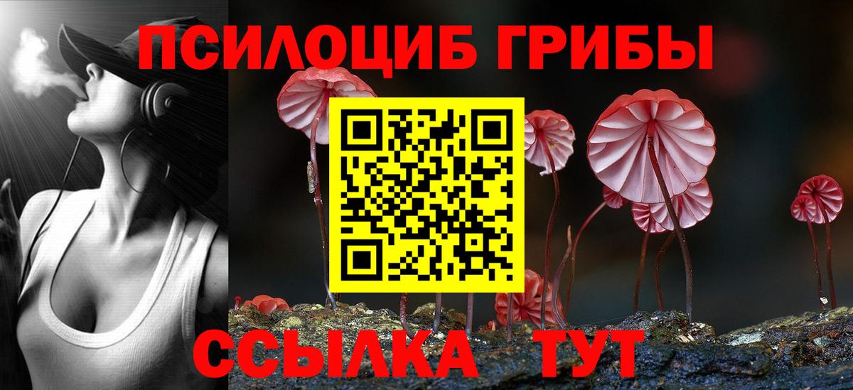 Псилоцибиновые грибы мухоморы  Вход с VPN  Сатка 