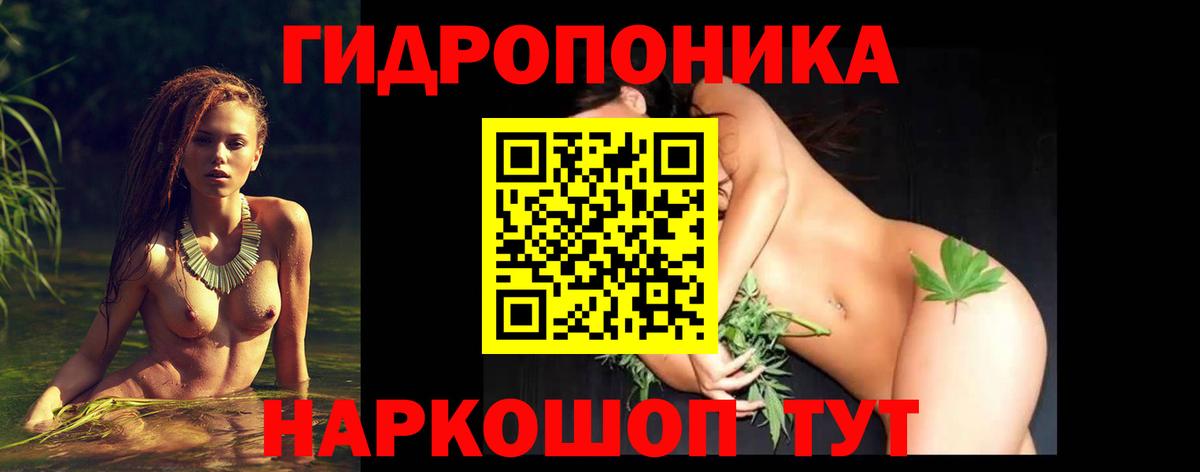 Бошки марихуана сатива  Марихуана SATIVA & INDICA  Шишки марихуана гибрид  Сатка 